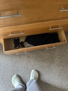 比奇山酒店主图