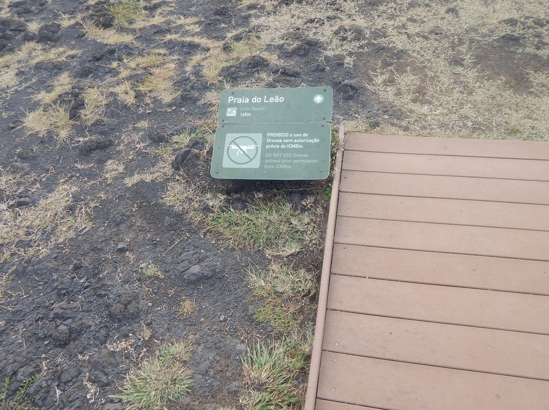 Leao Beach-费尔南多-迪诺罗尼亚群岛必去景点