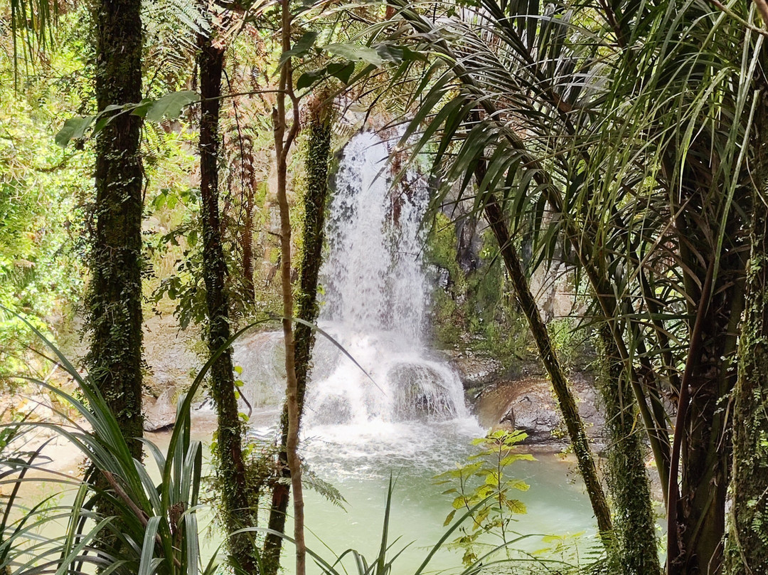 Waiau Falls Walk景点图片