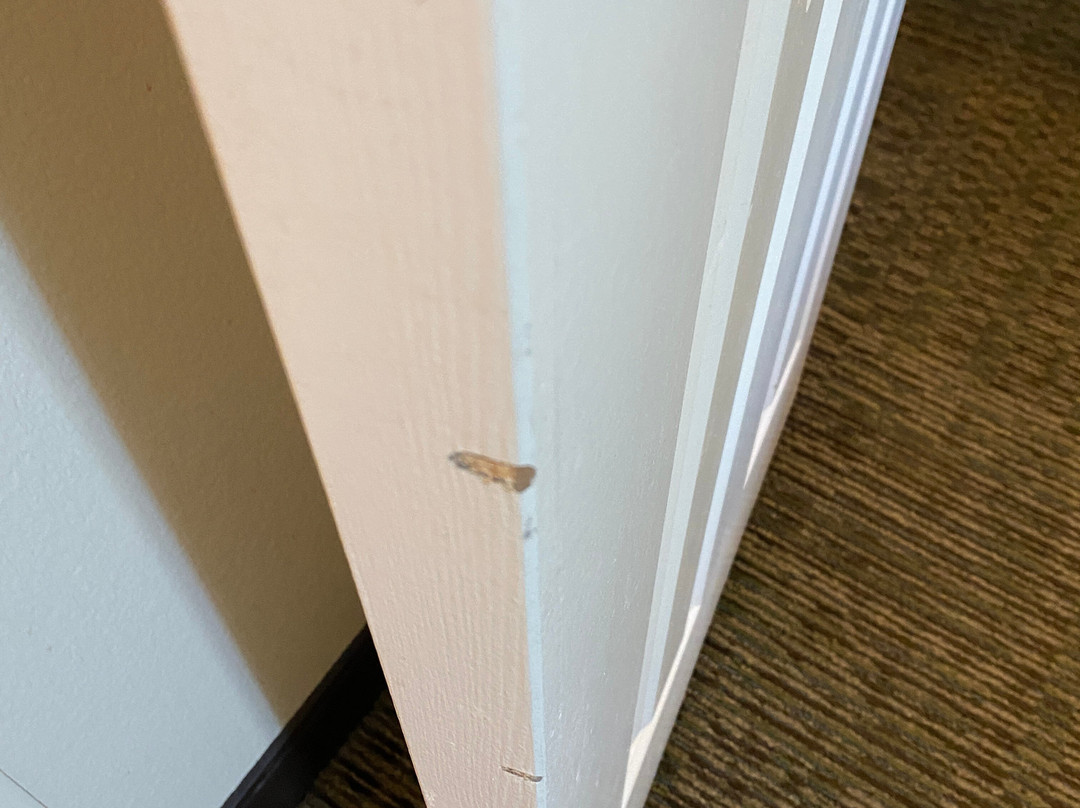 Staybridge Suites Fairfield Napa Valley Area By IHG主图