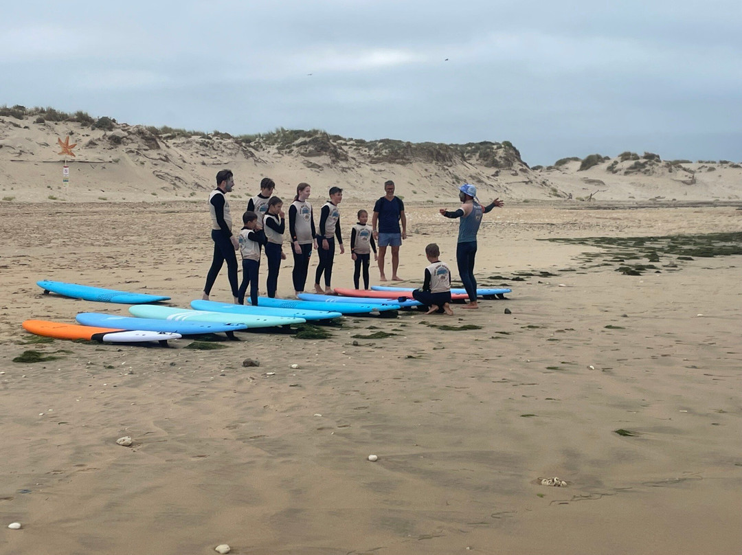 Tiny Surf School景点图片