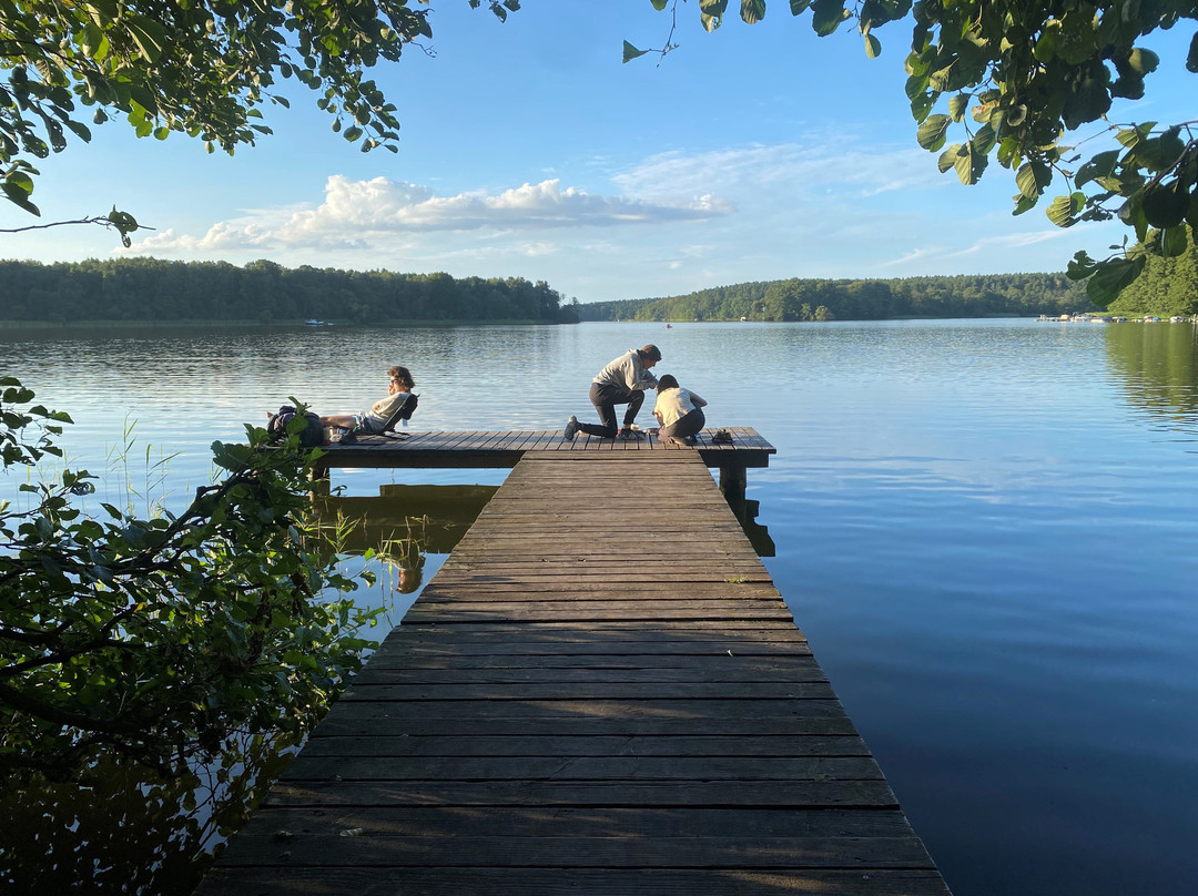 Naturcamping Am Ellbogensee Campingplatz
