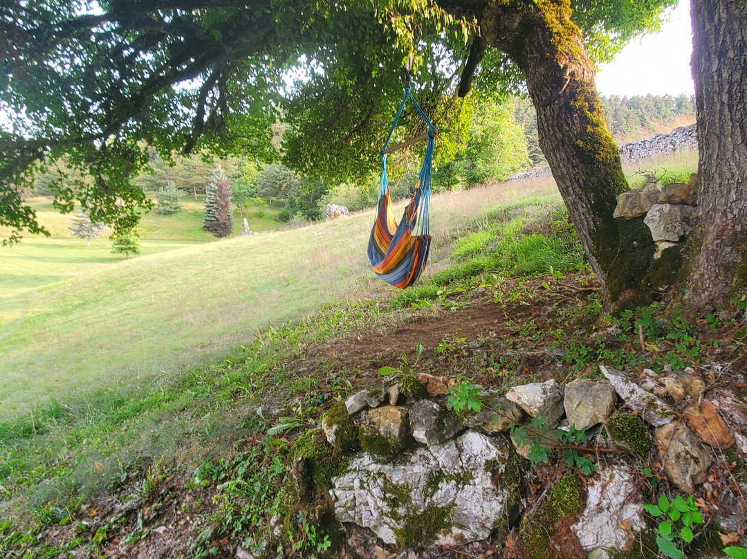 Domaine de la Vialette主图