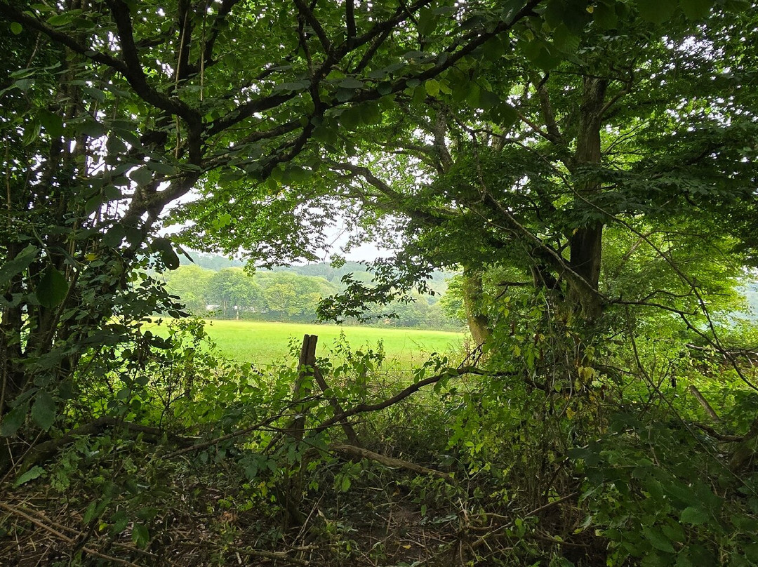 Footland Wood景点图片
