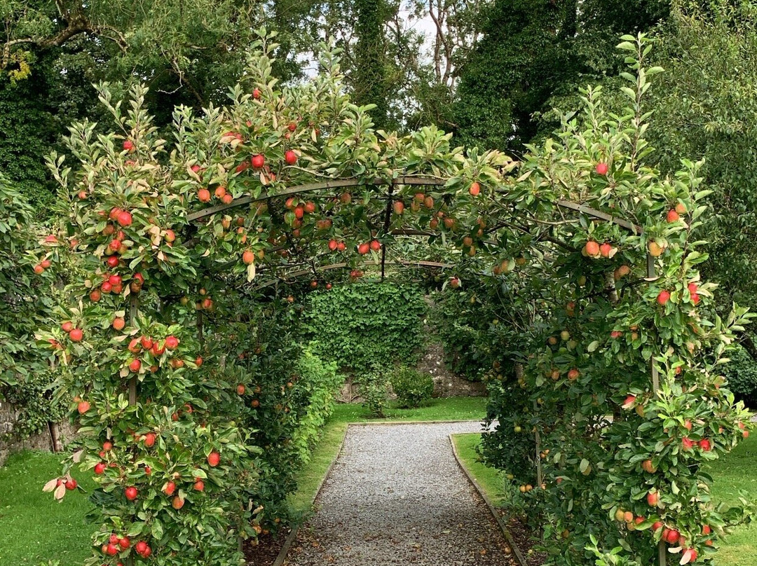 Woodville Walled Garden景点图片