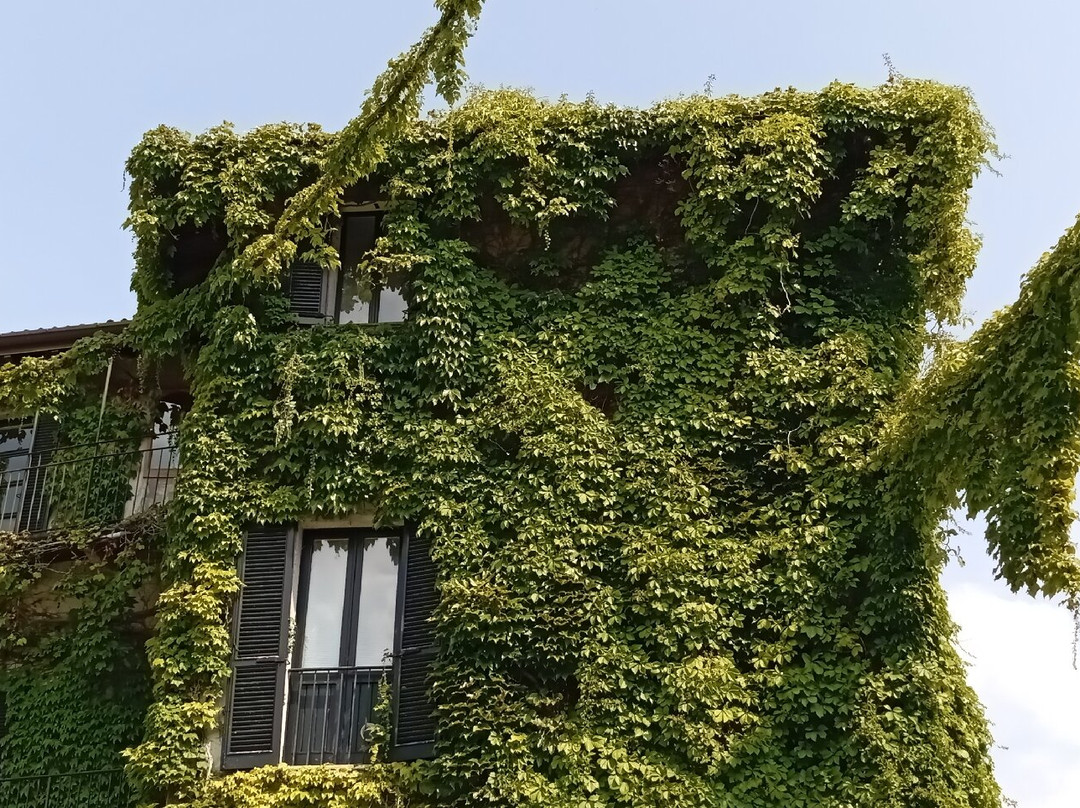 Parco Bellavista景点图片