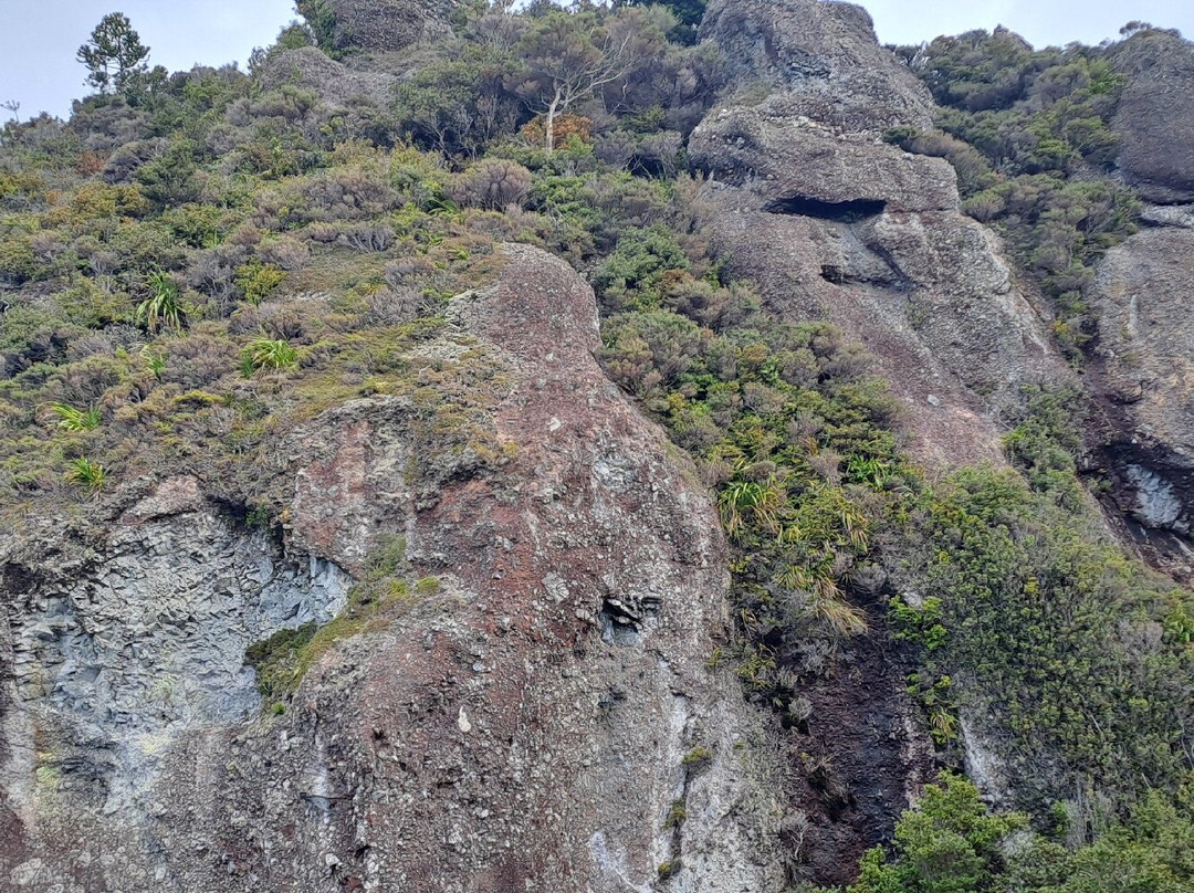 Mt Hobson via Windy Canyon-Great Barrier Island必去景点