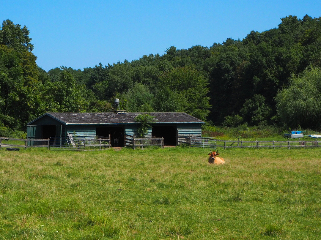 Catskill Animal Sanctuary-Saugerties必去景点