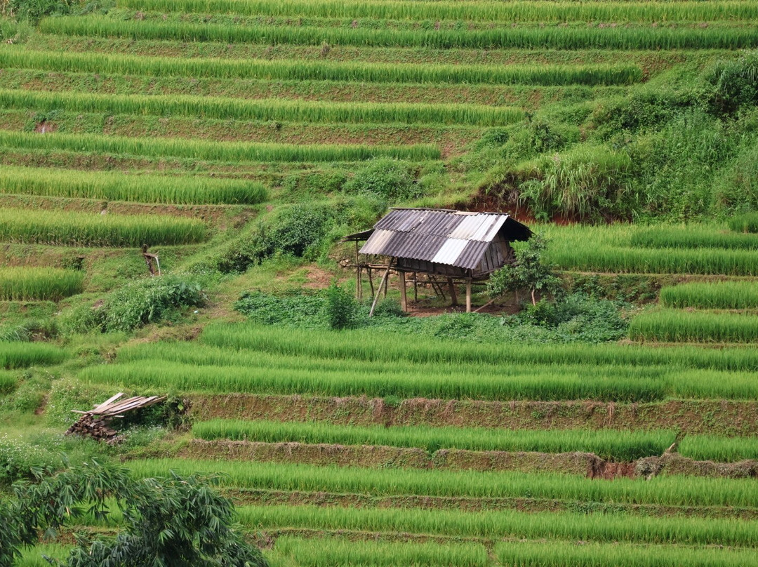Trekking Tour Mu Cang Chai-Mu Cang Chai必去景点