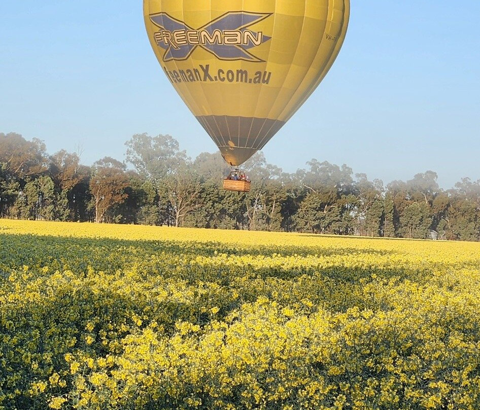 Goldrush Ballooning King Valley景点图片