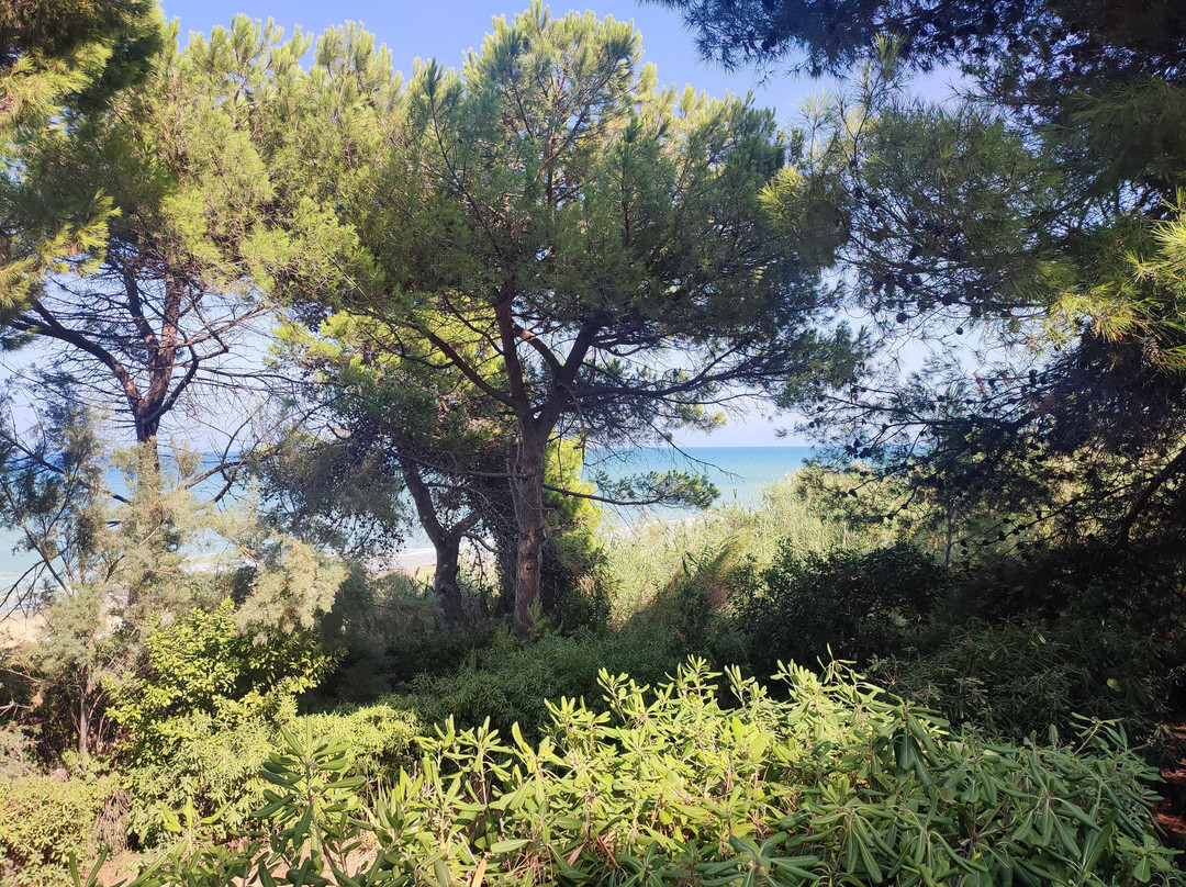 Lido Itaca-Torre di Cerrano必去景点