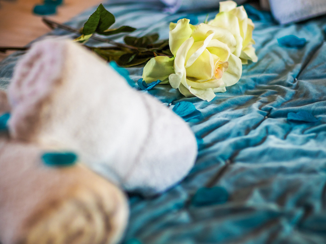 Domaine De Campagnac主图