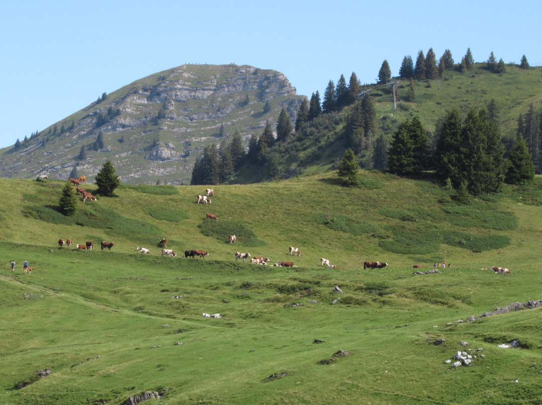 Lac de Joux Plane景点图片
