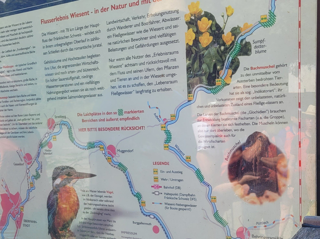 Leinen Los | Outdoorevents in Franken-Gossweinstein必去景点