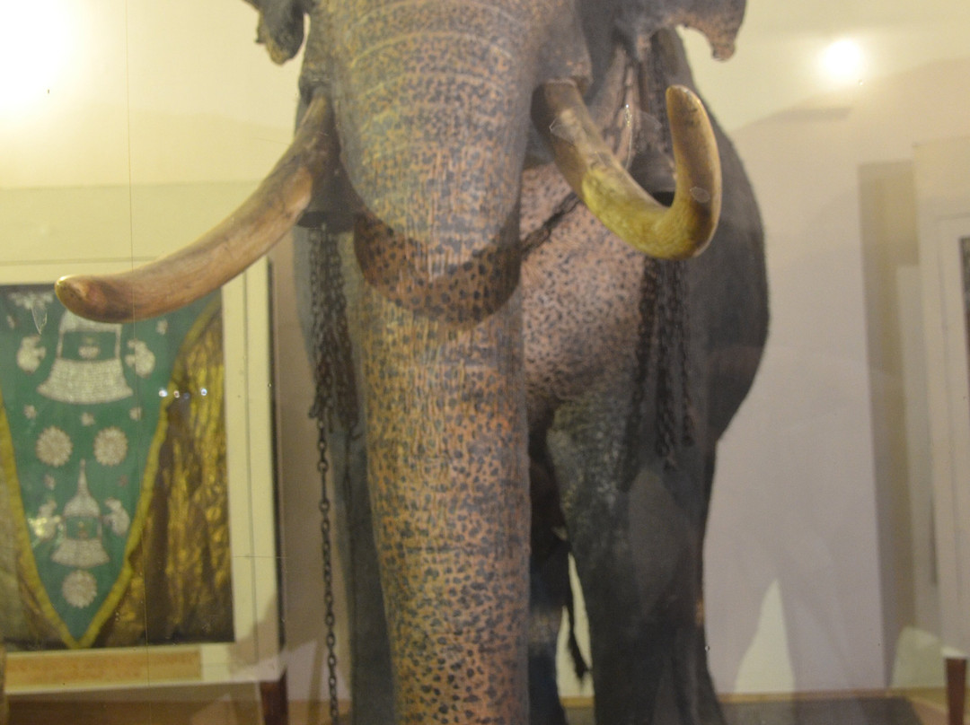 Raja Museum景点图片