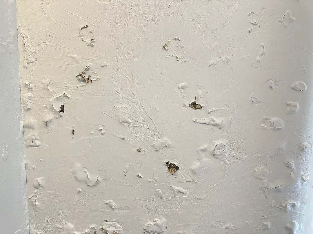 Roxy Hotel Serian主图