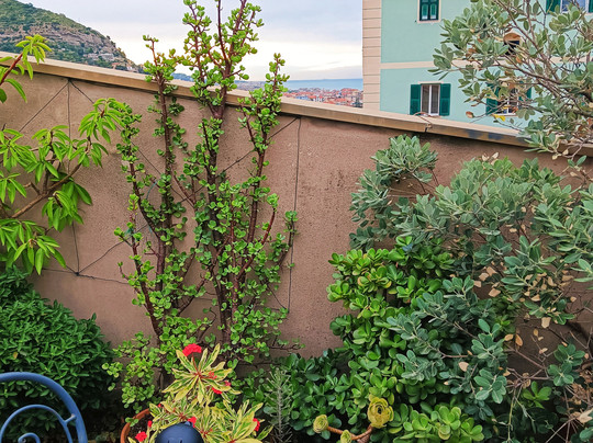 拉特拉莎迪佩蓝戈尼B&B酒店主图