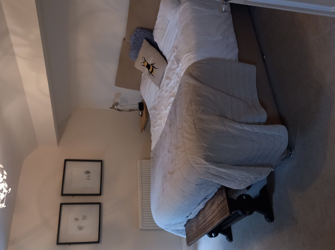The Hive at 52主图