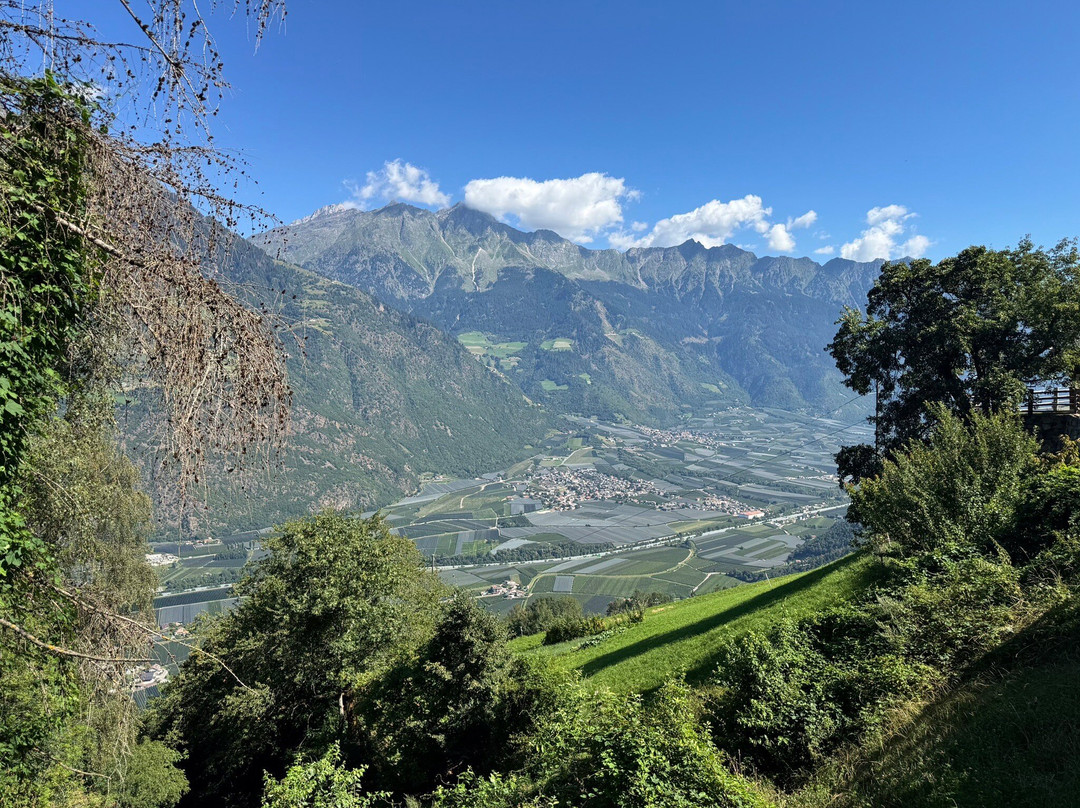 Vitalpina Hotel Schulerhof主图