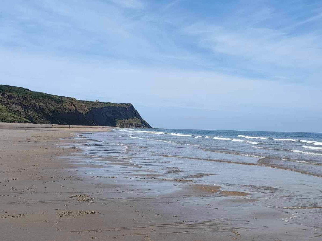 Skinningrove Beach景点图片
