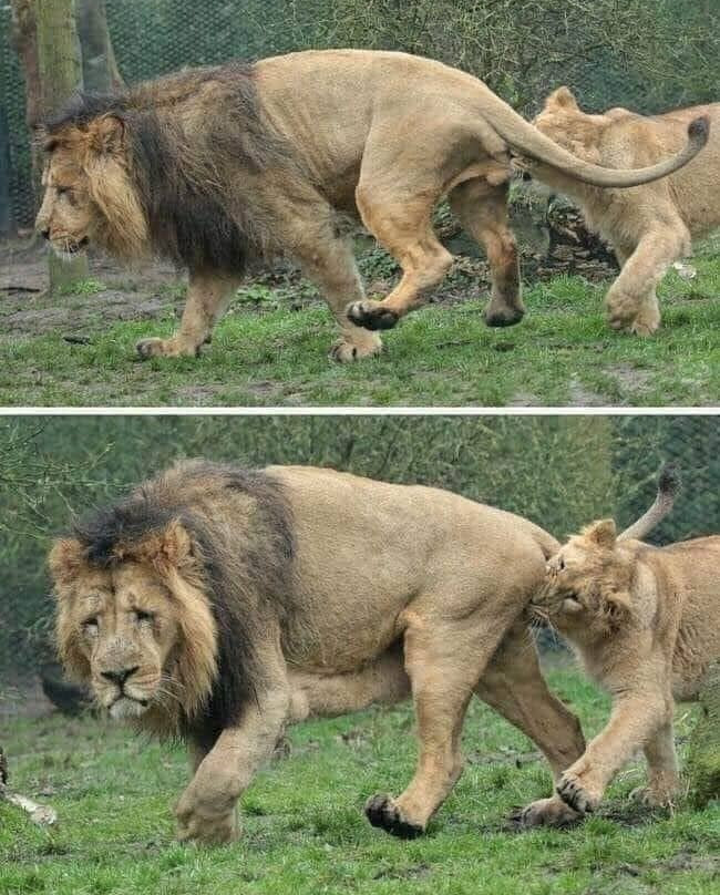 Kingnet Tours and Trave-石头城必去景点