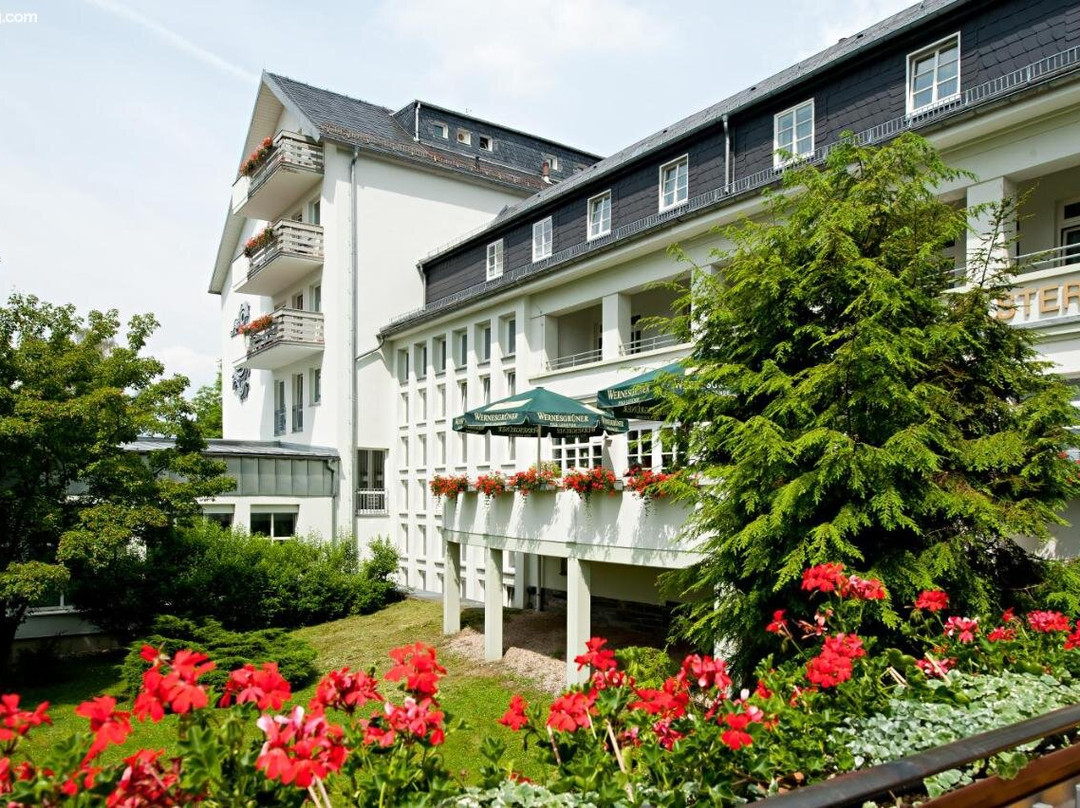 BSW Vitalhotel Weisse Elster主图