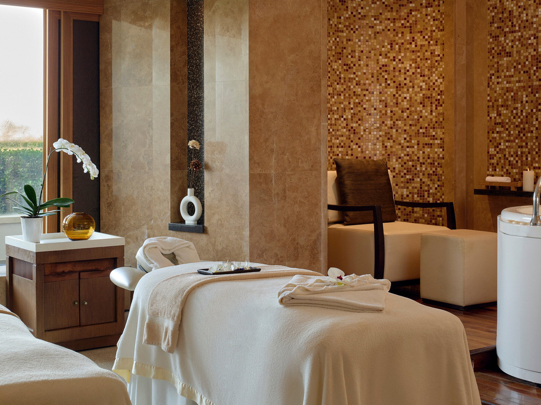 Meliá Desert Palm Member of Meliá Collection主图