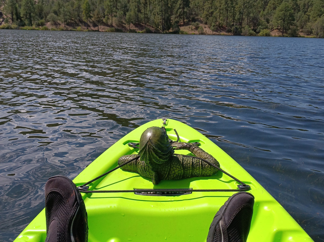 Inn At Lake Roberts主图