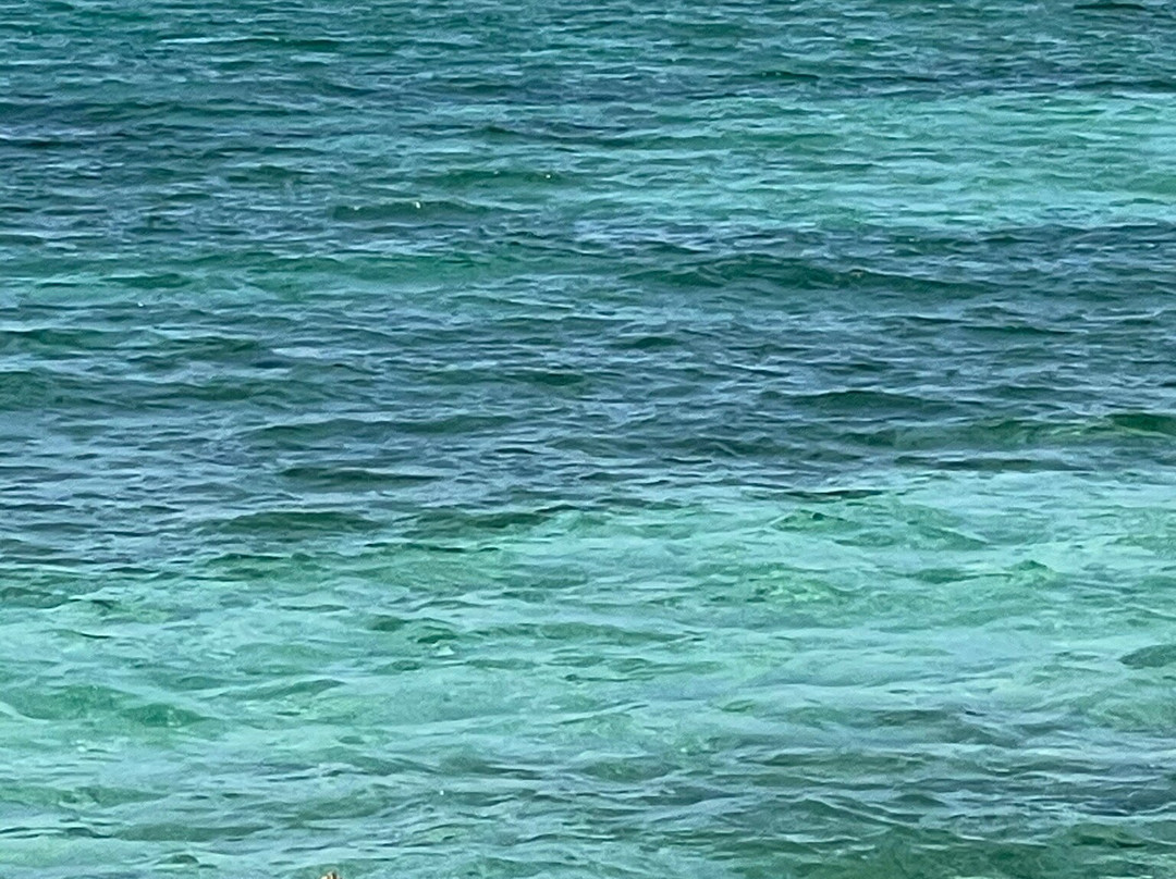 VIP 007 Sea Charters