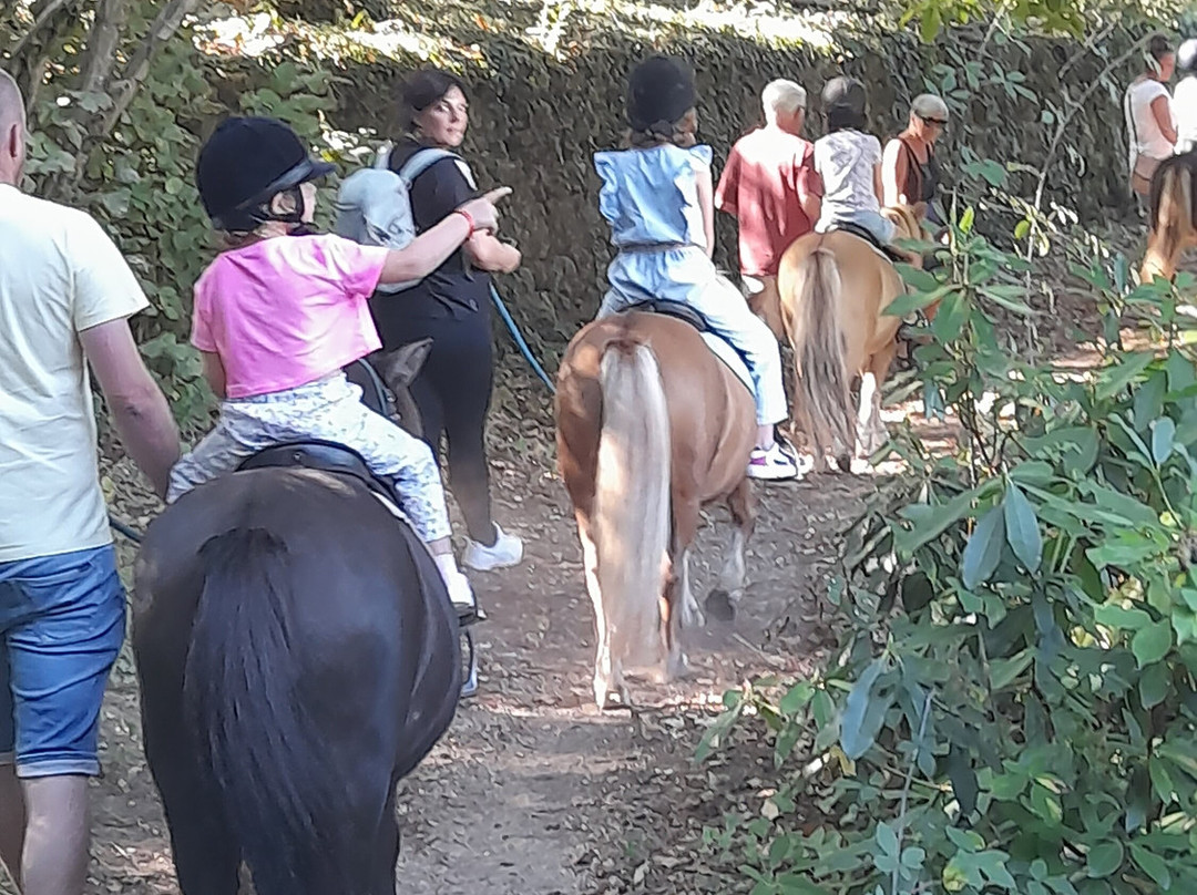 Les Poneys du Val D'emeraude-Lasalle必去景点