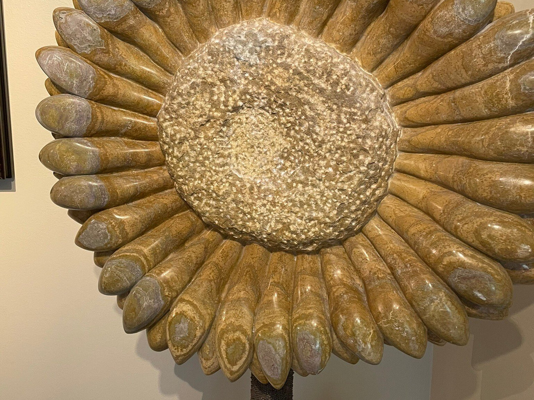 Skylands Museum of Art景点图片