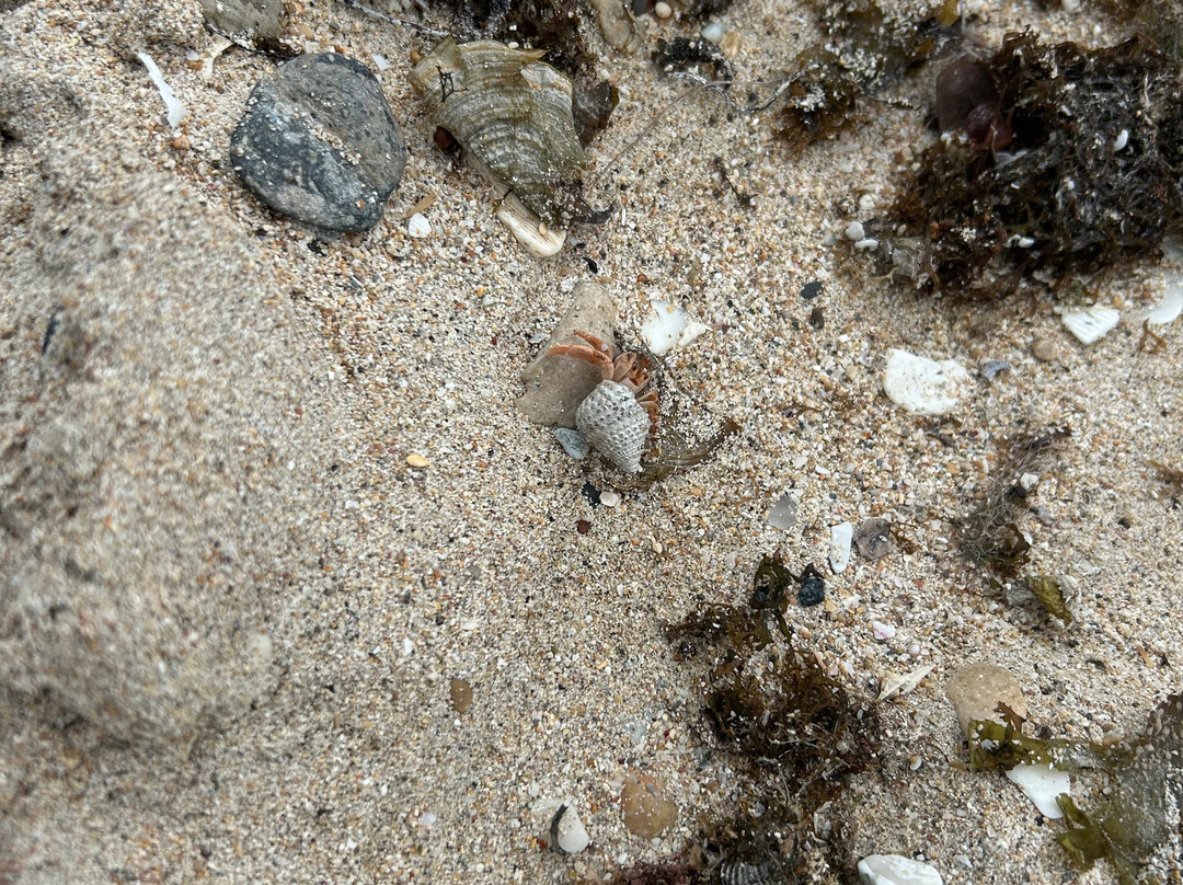 Playa Escondida-Guanica必去景点