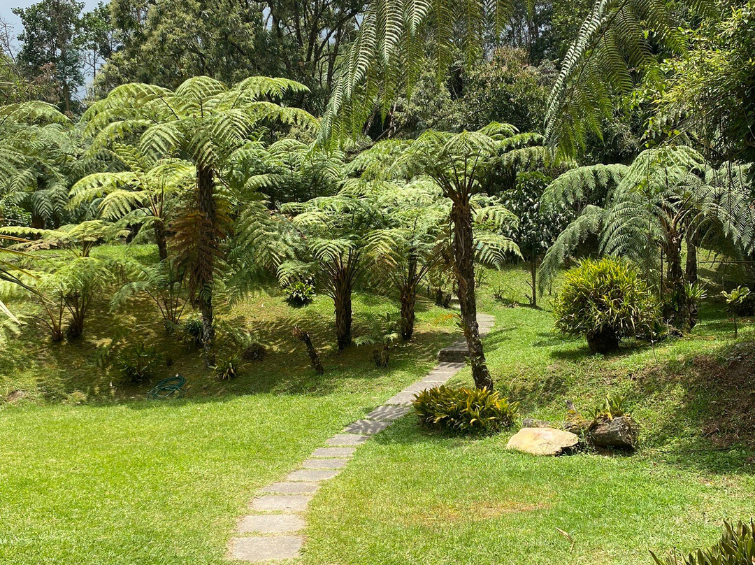 Recinto del Pensamiento-Manizales必去景点
