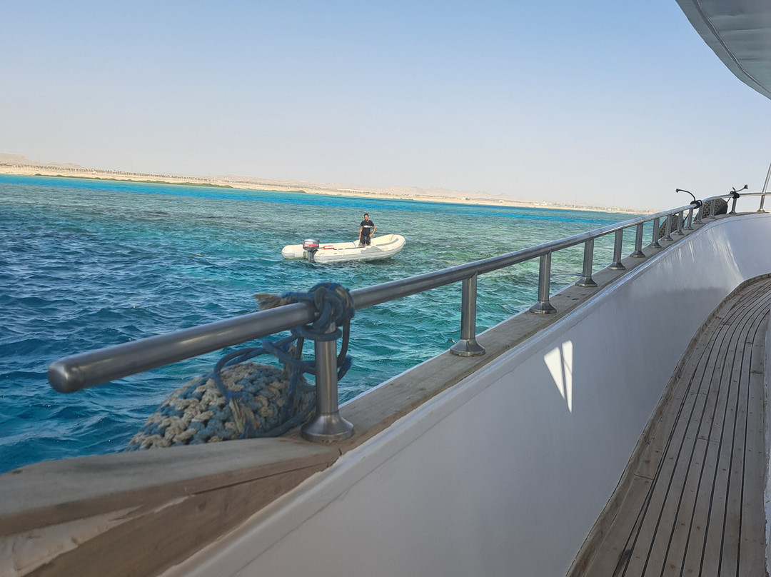 Diving El Flamenco-艾尔可西利亚必去景点