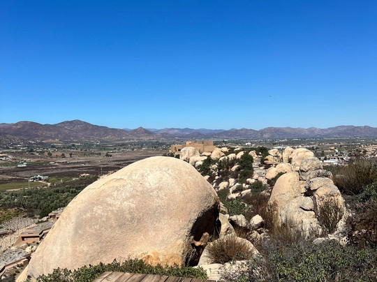 Banyan Tree Veya Valle de Guadalupe