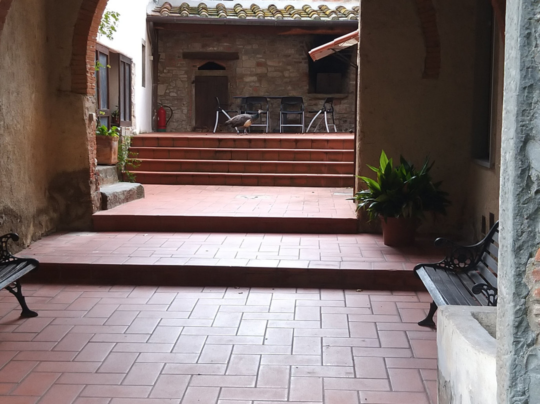 Castello di Querceto主图
