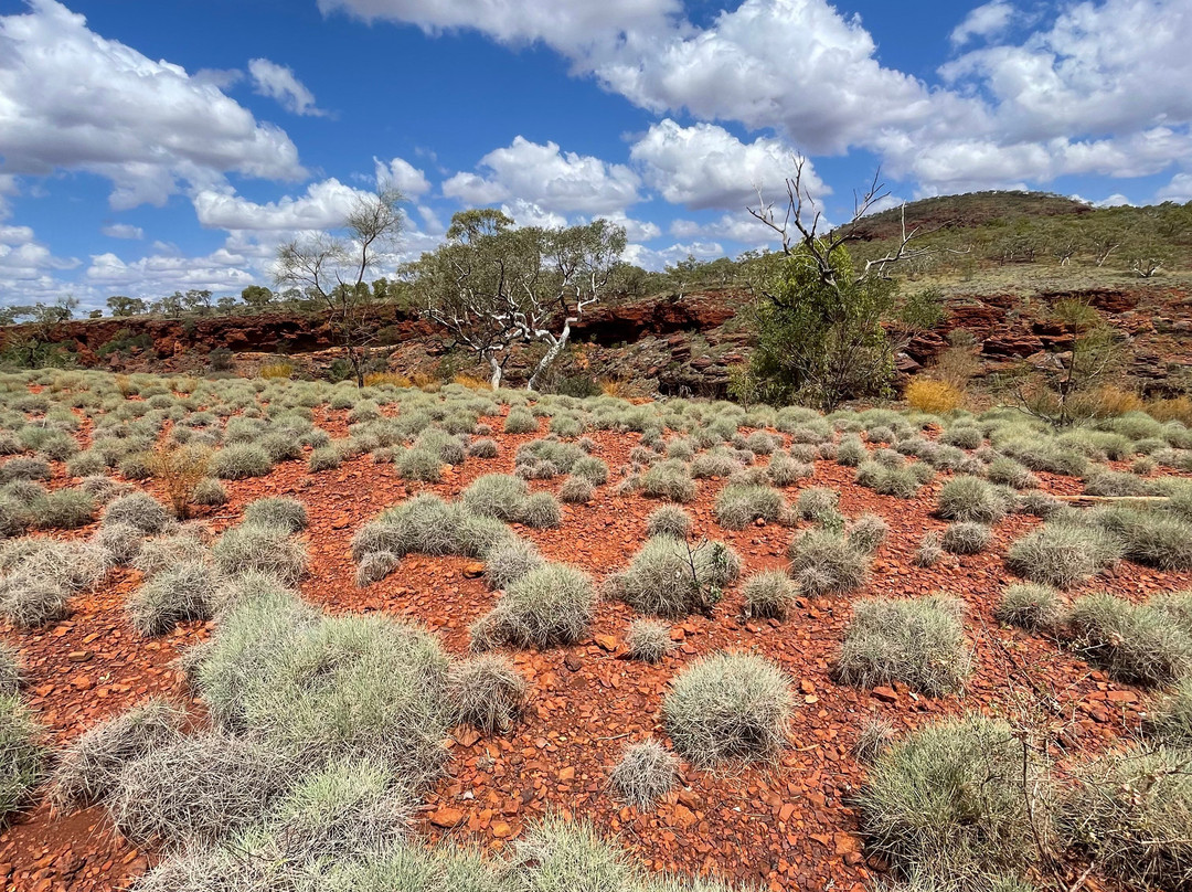 The Flying Sandgroper-Karijini National Park必去景点
