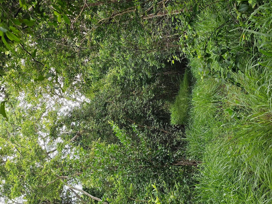 Pande Game Reserve-Dar es Salaam必去景点