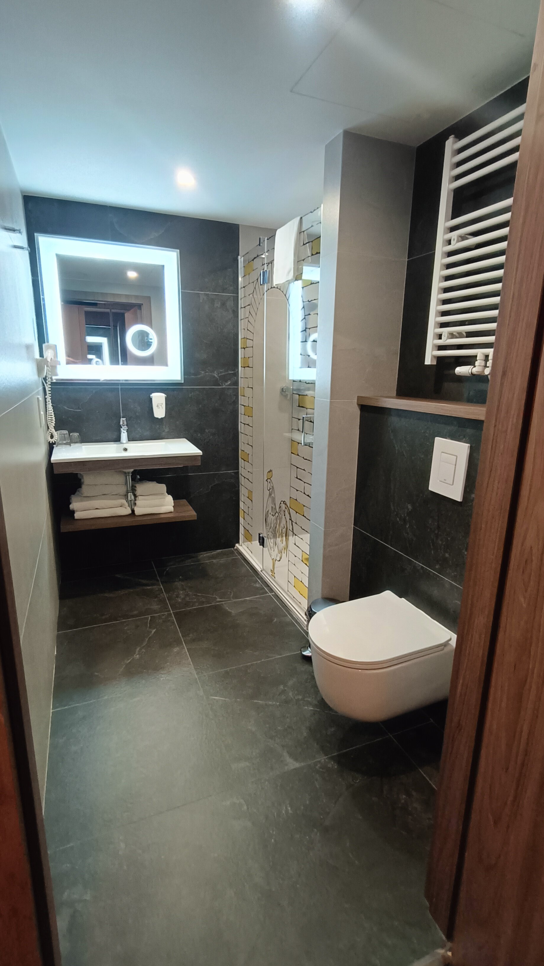 ibis Styles Lublin Stare Miasto-浴室