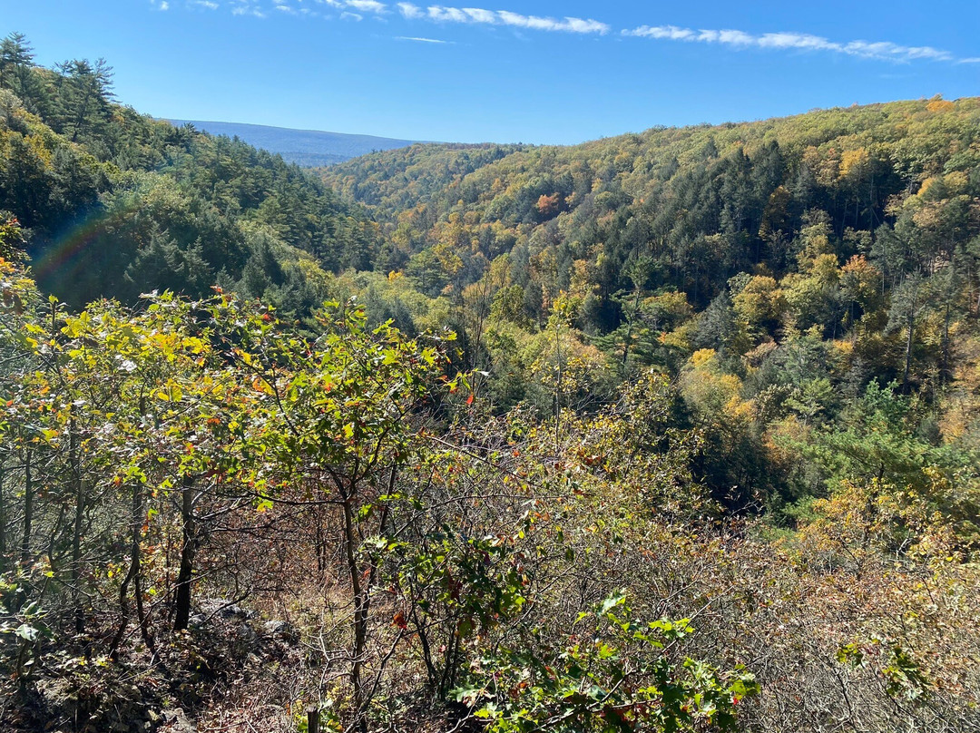 Bushkill Falls景点图片