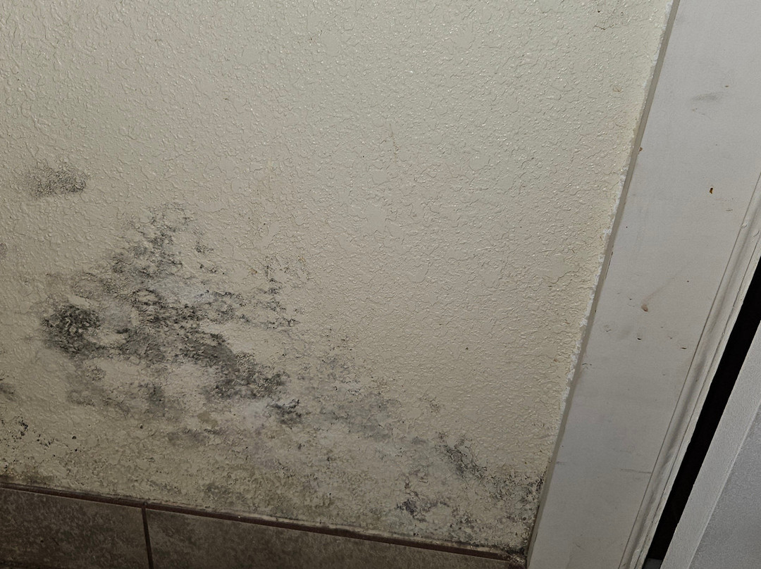 The Hillside Hotel主图