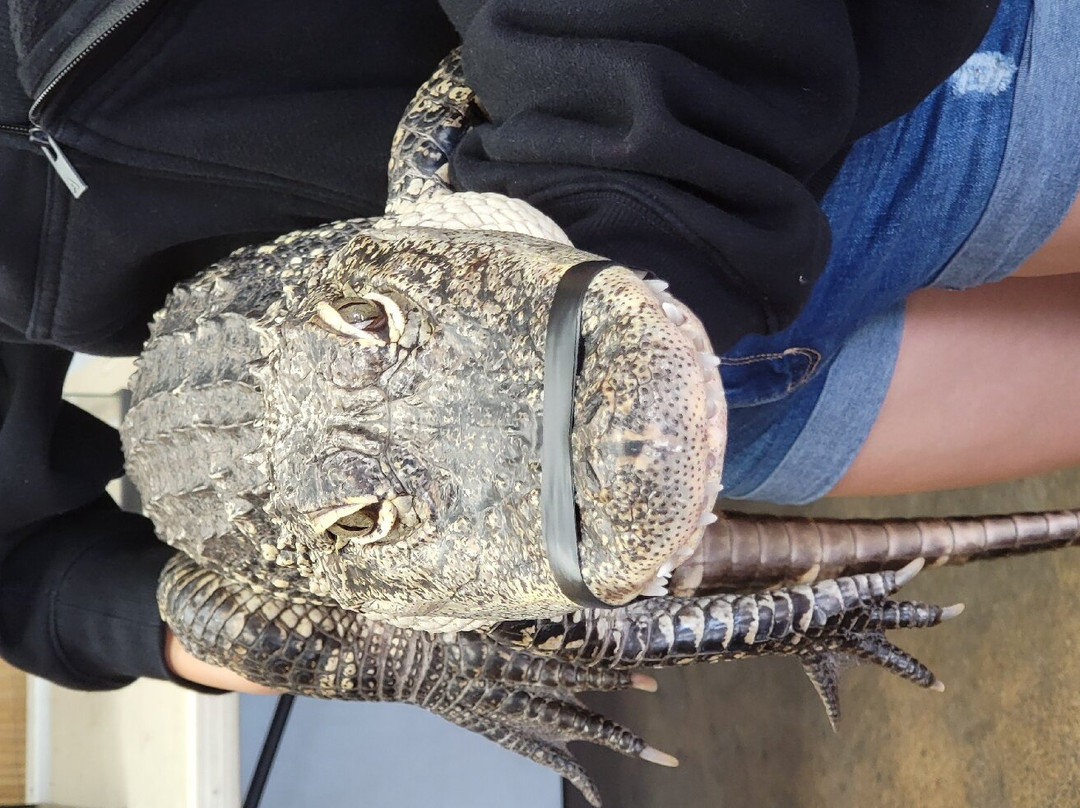 The Reptile Zoo-芳泉谷必去景点