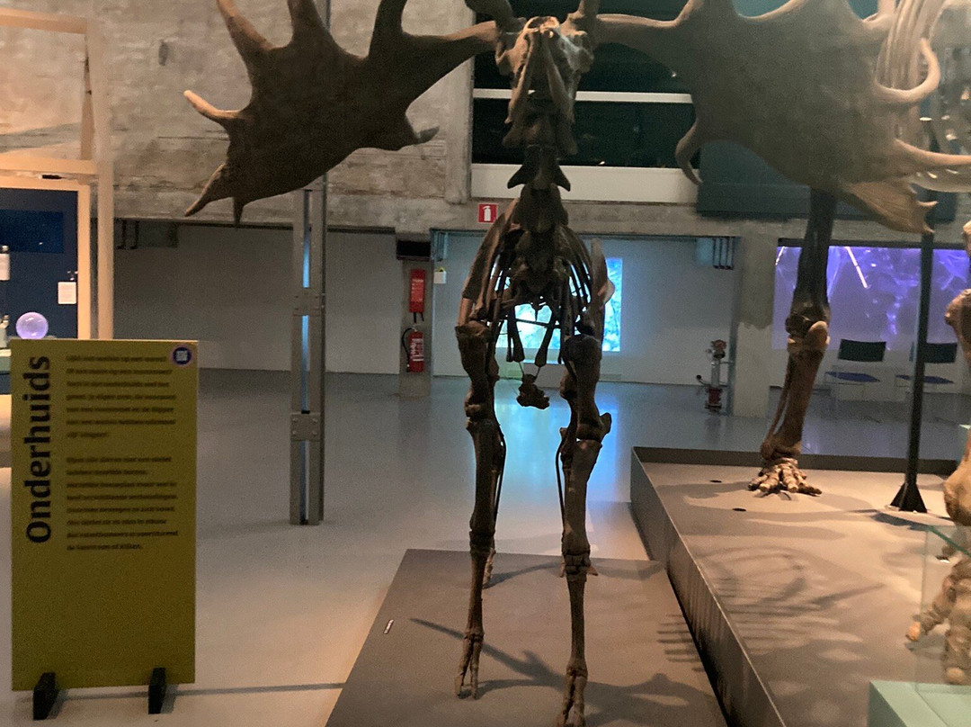 De Museumfabriek-恩斯赫德必去景点