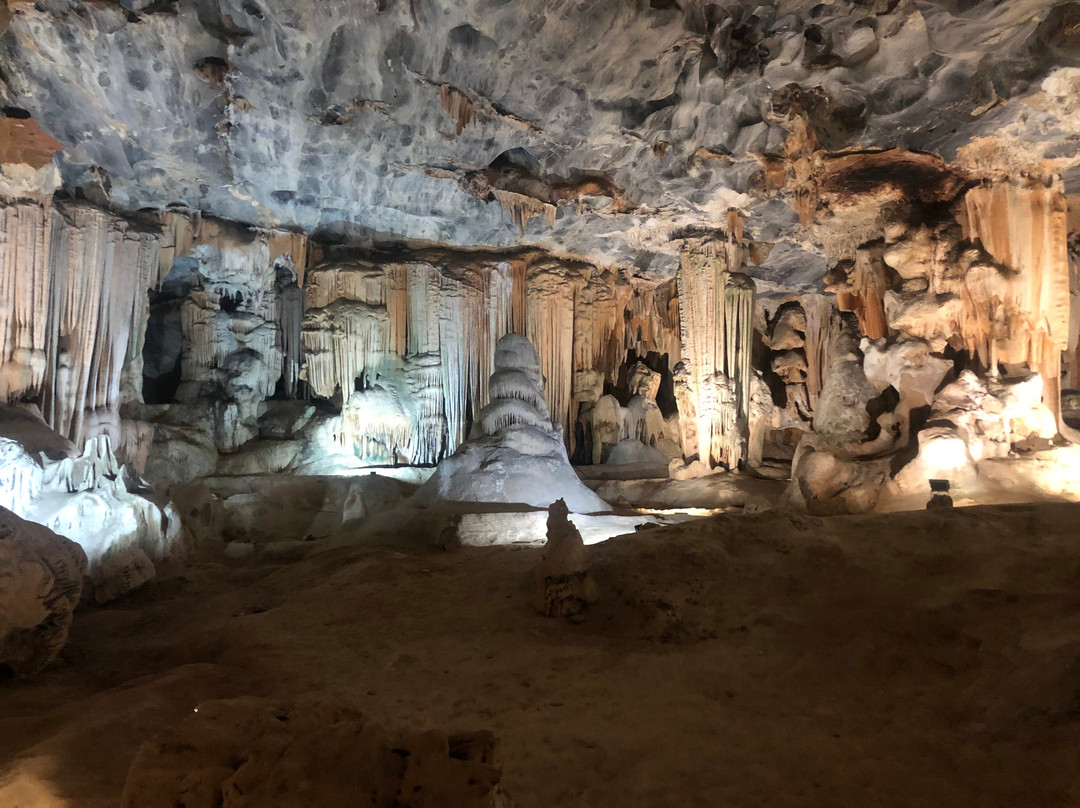 Southern Circle Tours & Safaris景点图片
