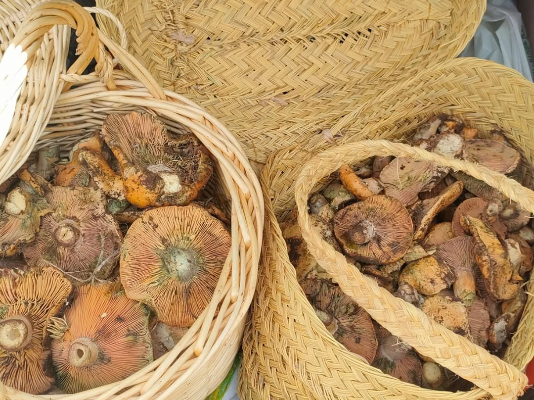 La Posada de Mosqueruela主图