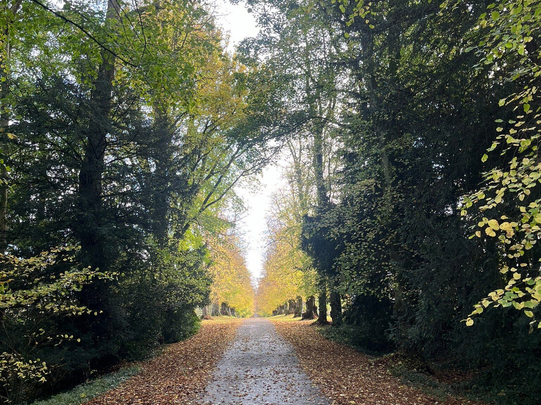 Cirencester Park-赛伦塞斯特必去景点