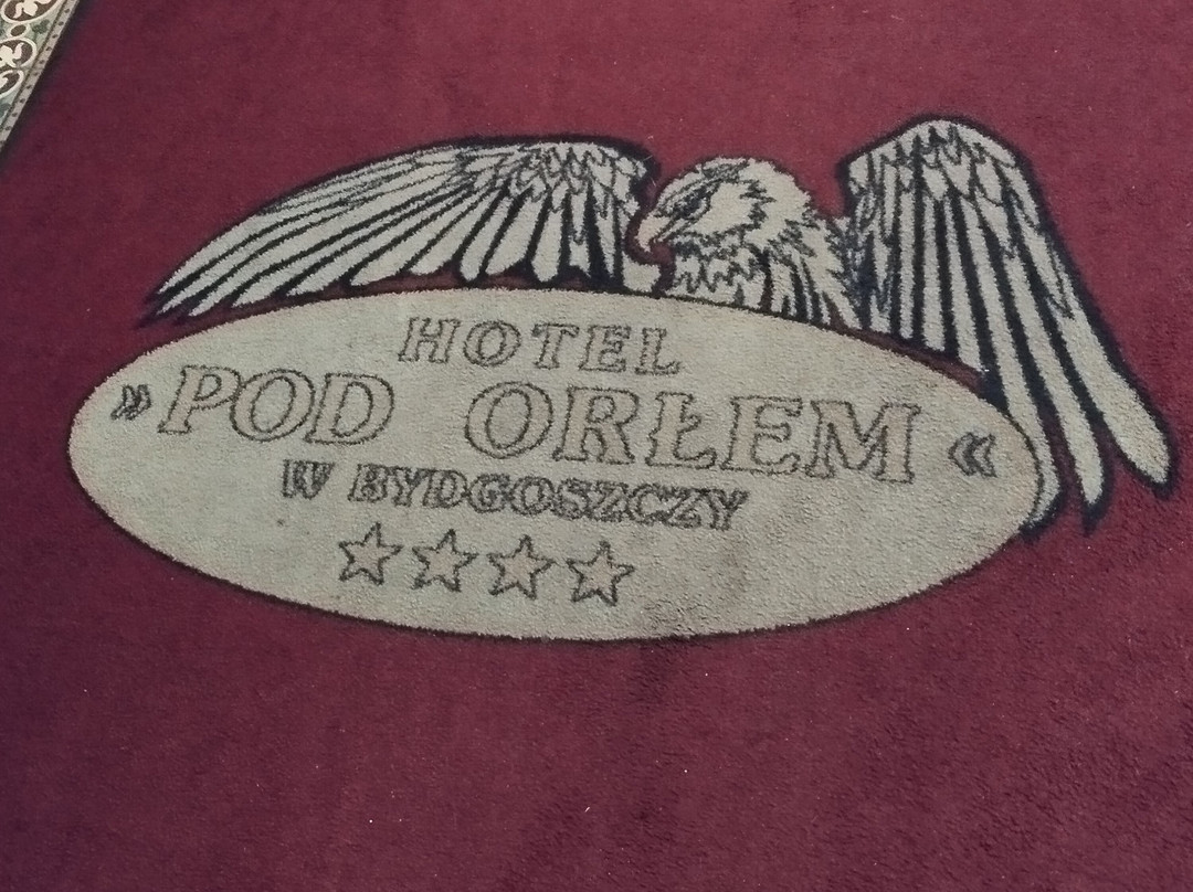 Focus Hotel Premium Pod Orłem主图
