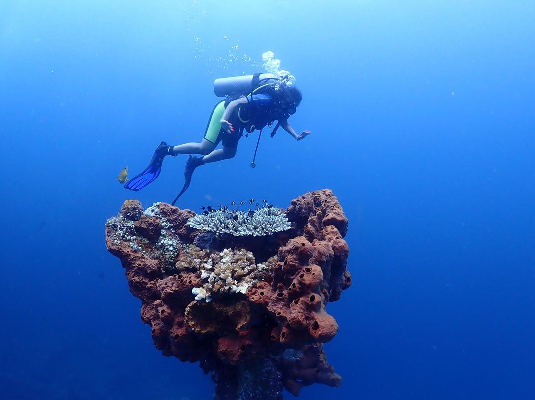 Bali Luxury Divers BLD-艾湄湾必去景点