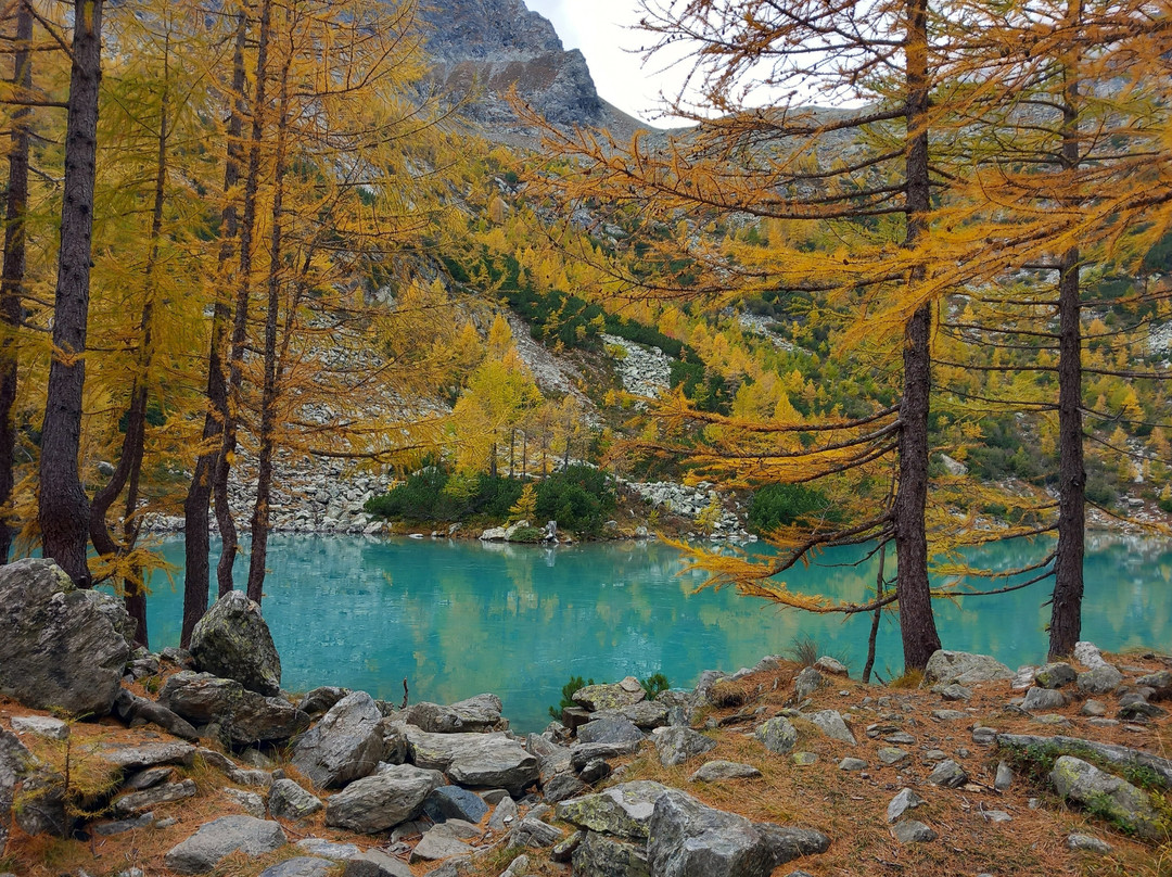 Lago Lagazzuolo景点图片