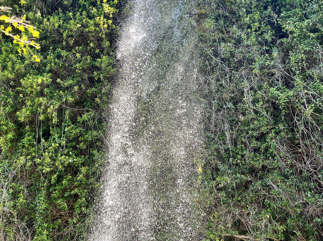 Cueva de Los Pincheira-Pinto必去景点